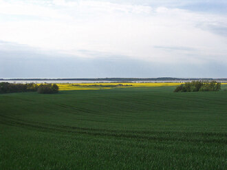Barzowice. Widok na Jezioro Kopań